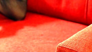 Hubby Shares His Slim Latina Slut Wife with Bald Head BBC Movers