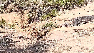 Couple Goes Camping on Halloween and His Wife Ends up Being Fucked by Monster