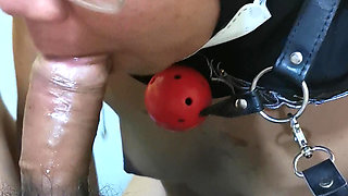 I am your pet!!