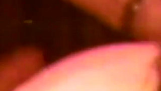 Vanessa the Exciter Pig