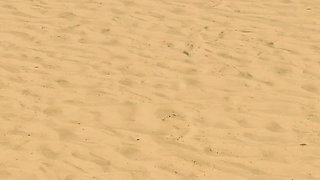 Ep13: Unlocked Lifeguard Photo of Nikki - Grand Tits Adventure (gameplay)