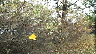 Teenenger Fucked in the Park and Squirted in Mouth