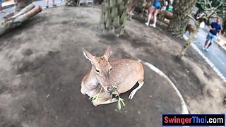 Amateurs Asian Euro couple travels the world and has sex