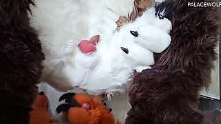 Amateur hooker pounded hardcore in her slit in the sex bus