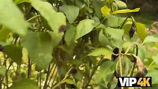 Vip4k. hunt down the snatch