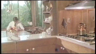 John Holmes...the Perfect Lovers... (video Has No Audio but Music)