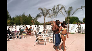 Everyone in the Pool