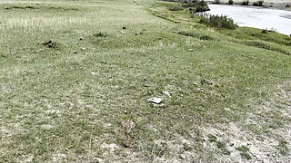 Pissing Compilation in Nature! Car Trip! POV!