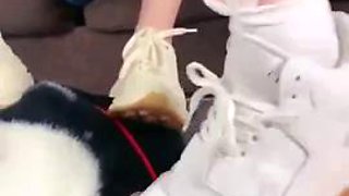 Double chinese femdom: Asian, Fetish  Foot Fetish Porn