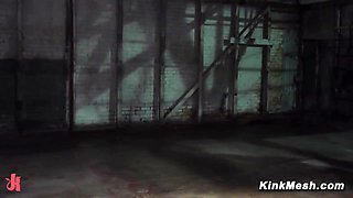 Best Adult Clip Big Ass Craziest Full Version - Kayla Paige And Whitney Wright