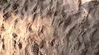 Inked Alt Girl Facefucked on a Beach POV