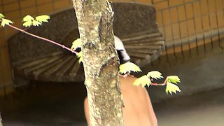 korean panty hunter voyer6