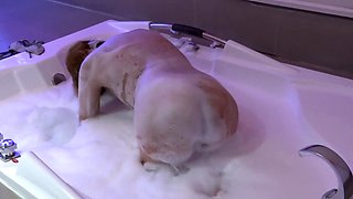 At the Motel I Enjoy the Jacuzzi Before Fucking My Brother-in-law, Real Cuckold Husband