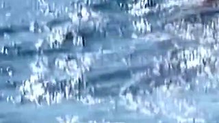 Excesses on the Women's Island Special Movie