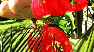 Dildo playing babe masturbates outdoors for solo fun