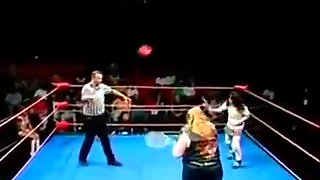 Wrestling Porn