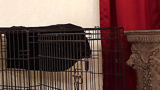 Office Anal Training