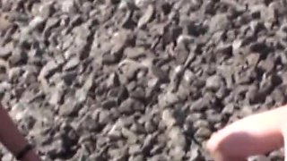 Balkan Brat Dom Bitches Whip Slave Joschi Public