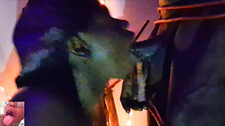 Halloween Special *it Gets Very Sloppy*