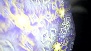 Secretly Banging Cheating Wife