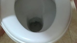 Dessperate Pissing