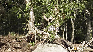 Forest Pissing Without Panties by Got 2 Pee Where Girls Come to Piss