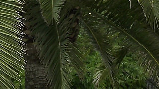 Two Busty MILF's Give Their Holes to This Fat Dick