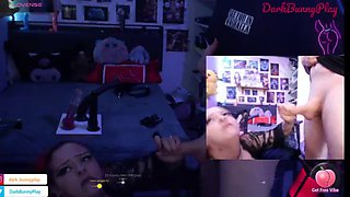 Bunny is Wild
