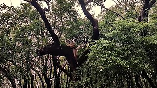 Cute blonde teen outdoor gleecute