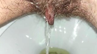 Hairy Housewife GinnaGg Pissing Close Up Toilet Pee Play