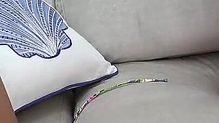 My Spanish Anal Piss Holiday Orgy