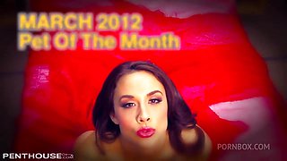 Pet of the Month March 2012