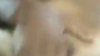 Watch Me Masturbating Myself