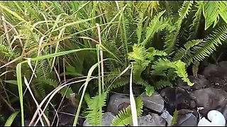Massage Sex at Resort, Outdoor Fucking