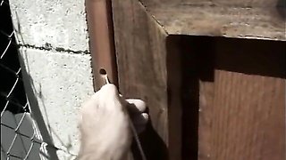 Teen's Sins - pornstar clip