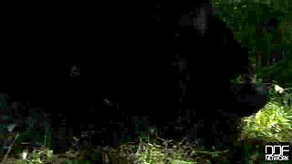 High Spirits Restrained