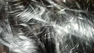 Mallu Blow job and Ass fucking