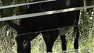 Chocolate French Slut Takes Two Big Dicks Outdoors in Hot Anal Threesome