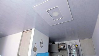 Let It Flow VII BIG toy edition Black and Ebony