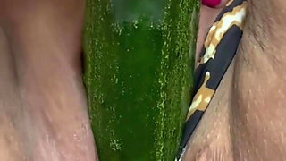 Garden Harvest Fun!!!