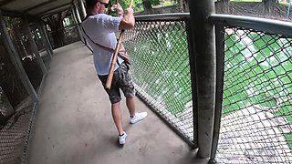 Crocodile feeding and pussy pleasing