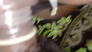 Hot Indian Desi Brother in Law and Sister in Law Hot Sex