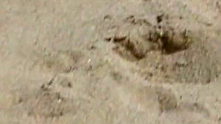 Threesome - Young Skinny Blondie Slut Fucks Her Stepdad's Friends on the Beach
