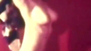 Vulgar Capricious Pig