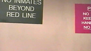 Perfect babe got to throat cock after getting her pussy licked