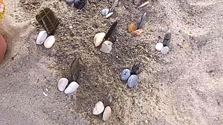 Sexy MILF Has a Gang Bang Fantasy on the Beach and Pisses