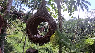 Big booty Thai girlfriend garden sex