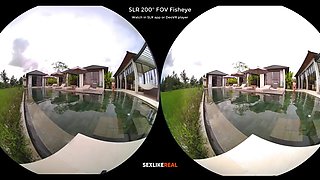 Pool Perfection - StasyQVR