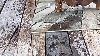 Selfie Shooting and Pee with Nice Flashing