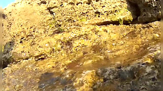 Swimming and Flashing in the Sea